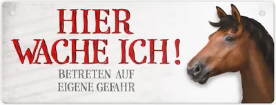 Produktbild von Metallschild mit Pferd Motiv und Spruch: Betreten auf eigene Gefahr ... Schild