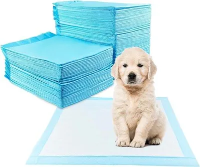 Produktbild von Famanu Trainingspads für Hunde - 100 Stück - 60 x 60 cm - 5-lagiges Design - schnelltrocknende Oberfläche