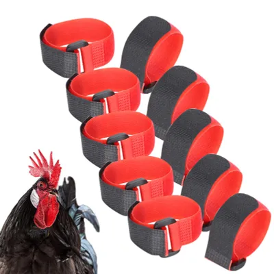 Obrázek produktu pro 5Bag AntiHook Rooster Nylonový obojek Hluk Neck Strap Náhrdelník Pet Chicken Supply