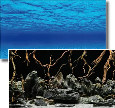 Produktbild von Fotorückwand Mystic beidseitig bedruckt 120x60cm 2in1 Rückwandposter