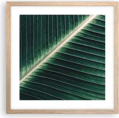 Produktbild von Gerahmtes Poster - Rahmen in heller Eiche - Grün Blatt Tropisch - 40x40 cm - Wand Bild - Wanddeko - Wandbilder - Wandposter - Bilderrahmen - Bilder - Kunstdruck - Wandbild - P2NAC40x40-4126