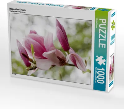 Produktbild von Calvendo Magnolien-Traum 1000 Teile Puzzle quer 640x480mm, Kruse Gisela; 7441052