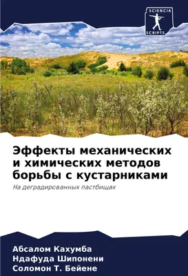 Produktbild von Jeffekty mehanicheskih i himicheskih metodow bor'by s kustarnikami