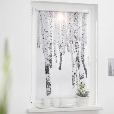 Obrázek produktu pro Roleta na okno Lichtblick bez vrtání bílý březový les 90x150 cm včetně upínacích držáků