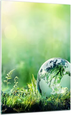 Produktbild von Bilder auf glas - Einteilig - natur natur - 70x100cm - Glasbilder - Wandbilder - Bilder - Kunstdruck - zum Aufhängen bereit - Wanddekoration aus Glas - Glas Bilder - Wandbild auf Glas - GPA70x100-4041