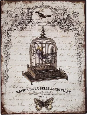Produktbild von Blechschild Vogelkäfig Paris Dekoschild Nostalgie Vintage 33x25cm