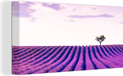 Obrázek produktu pro OneMillionCanvasses® Malba na plátně Nástěnná malba na plátně - Levandule - Stromy - Fialová - Květiny - 40x20cm
