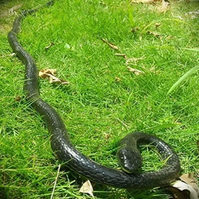 Productafbeelding van 47 inch rubber levensechte slangen enge gag gift - Ongelooflijke Regen Woud Wild Life Snake Speelgoed