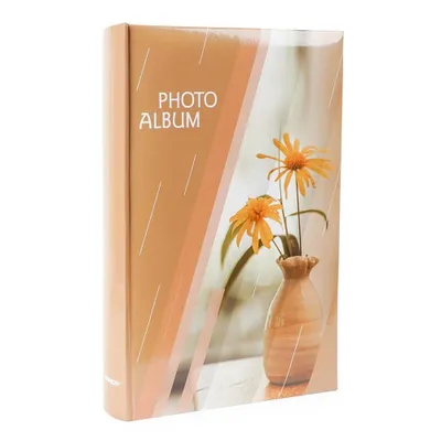 Image de Album photo 10x15 300 photos Ray 1