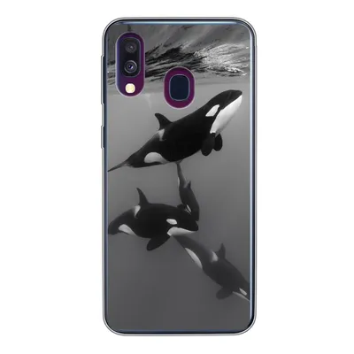 Produktbild von MuchoWow® Handyhülle Schutzhülle Hülle für Samsung Galaxy A40 Orca - Wasser - Schwarz - Weiß Silikon Softcase Handy Hülle - Handy-Tasche