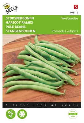 Obrázek produktu pro Tyčkové fazole Westländer | Semena tyčkových fazolí od Buzzy Seeds