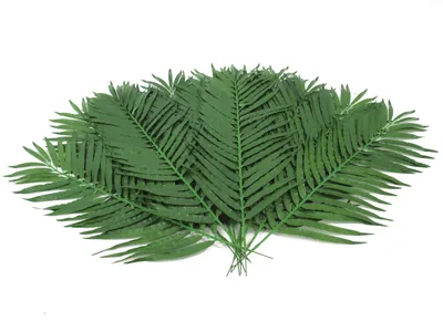 Obrázok produktu pre EUROPALMS Kokosová palma, umelá, 90cm 12x