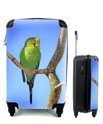 Produktbild von MuchoWow® Koffer Handgepäck Trolley Rollkoffer Kleine Reisekoffer mit 4 Rollen - Grüner Sittich mit hellblauem Hintergrund - Cabin Size < 55x40x23 cm & 55x40x20 cm - Fotokoffer - Kabinenkoffer - Boardgepäck - Reise-Box - Reisekoffer - Reisegepäck - Koffer mit Bild - Trolley für Kinder