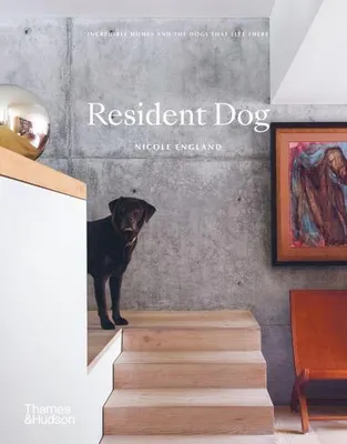 Immagine prodotto di Resident Dog
