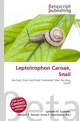 Produktbild von Leptotrophon caroae, Schnecke