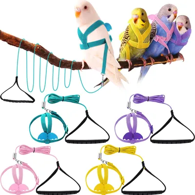 Immagine prodotto di 4 pezzi di set per uccelli domestici, composto da ciotola, guinzaglio e imbracatura regolabile per uccelli