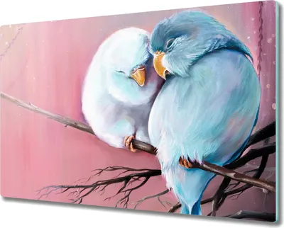 Produktbild von Coloray Kochplattenabdeckung Herdabdeckplatte 80x52 cm Hackbrett Schneidebrett Küchenbrett - Tier Vögel Zweig