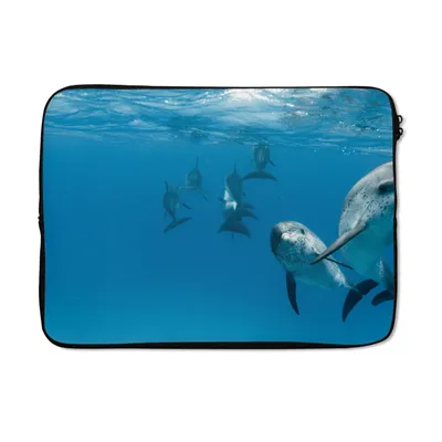 Produktbild von MuchoWow® Laptop Hülle 13 Zoll Delphine bombardieren sich gegenseitig mit Fotos Laptoptasche - Laptophülle - Sleeve - Rundumschutz