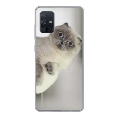Produktbild von MuchoWow® Handyhülle Schutzhülle Hülle für Samsung Galaxy A51 5G Katze - Tier - Wohnzimmer Silikon Softcase Handy Hülle - Abbildung