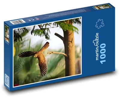 Zdjęcie produktu dla Puzzle 1000 Polujący pustułka w locie - martinpuzzle