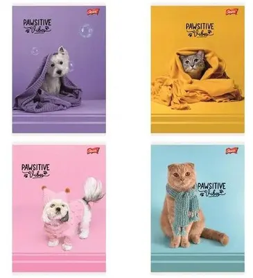 Immagine prodotto di Quaderno A5/32 pagine a quadretti Pawsitive (15 pezzi) - UNIPAP