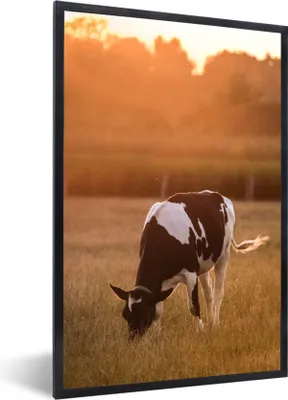 Produktbild von MuchoWow® Gerahmtes Poster Kuh - Sonne - Tiere 40x60 cm - Poster mit Schwarzem Bilderrahmen Wandposter Rahmen Foto Bilder - Papierdruck - Wandbilder