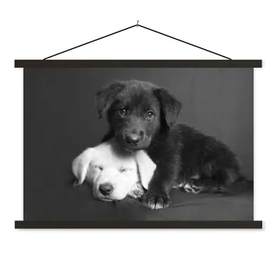 Produktbild von MuchoWow® Textilposter Hunde - Welpe - Schwarz - Weiß - Tiere 120x80 cm mit schwarzem Rahmen - Wanddeko
