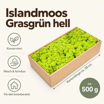 Produktbild von Islandmoos 500 g in über 30 Farben, konservierte Rentierflechte Deko Basteln, Farbe:Grasgrün light