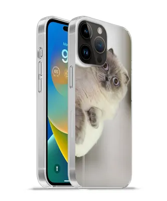 Produktbild von MuchoWow® Handyhülle Schutzhülle Hülle für Apple iPhone 14 Pro - Softcase Katze - Tier - Wohnzimmer Silikon Softcase Handy Hülle - Umschlag
