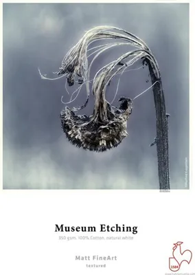 Immagine prodotto di Carta a getto d'inchiostro Hahnemühle Museum Etching FineArt - 350 g/m² - 17" x 12 m - 1 rotolo