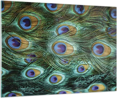 Produktbild von Bilder auf glas - Einteilig - Pfauen Feder Makro - 100x70cm - Glasbilder - Wandbilder - Bilder - zum Aufhängen bereit - Wanddekoration aus Glas - Glas Bilder - Wandbild auf Glas - GAA100x70-4159
