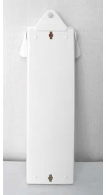 Image de Thermomètre MINI-MAXI blanc