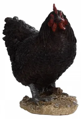 Image de Figurine décorative intérieur ou extérieur - Poule debout - H 19,8 cm - Noir