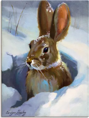 Produktbild von ARTland Leinwandbild Schneehase Größe: 90x120 cm