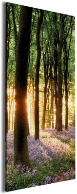 Produktbild von Wallario Premium Leinwandbild Blaue Hasenglöckchen im Wald mit Sonnenstrahlen in Größe 80 x 200 cm