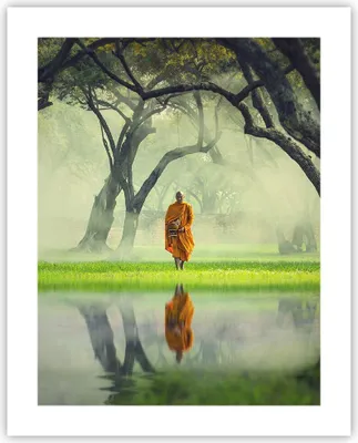 Produktbild von Poster - Poster ohne Rahmen - Mönch Wald Nebel - 40x50 cm - Wand Bild - Wanddeko - Wandbilder - Kunstposter - Wandposter - Bilder - Kunstdruck - Wanddekoration - Wandbild - P2XPA40x50-4286