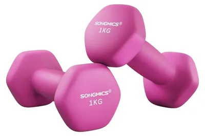 Immagine prodotto di Set di 2 manubri rosa – in ghisa – con rivestimento in neoprene – 1 kg