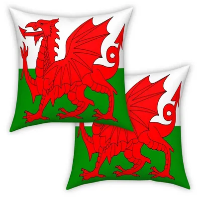 Image de Housses de coussin, drapeau gallois, 40x40 cm, lot de 2, en velours polyester
