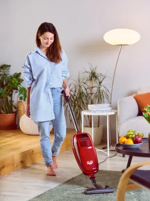 Produktbild von Omega APART DELUXE, Stielstaubsauger ETA243490040, 800 Watt, mit Beutel, Turbo- und Parkettbürste, umschaltbare Bodendüse, Polster- und Fugendüse
