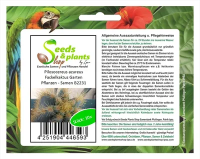 Produktbild von 10x Pilosocereus azureus Fackelkaktus Garten Pflanzen - Samen B2231
