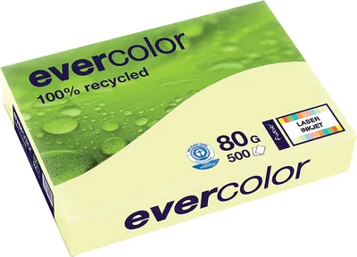 Obrázek produktu pro Clairefontaine - Barevný recyklovaný papír Evercolor, A3, 80 g, 500 listů, žlutý