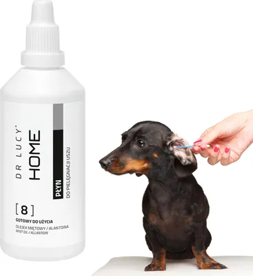 Produktbild von Home 8 Ohrpflegeflüssigkeit 100 ml