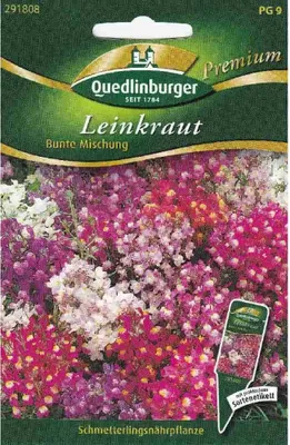 Produktbild von Quedlinburger Saatgut - Leinkraut Bunte Mischung - Samen - 291808