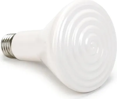 Zdjęcie produktu dla Elstein Donkerstraler, model 150 Watt