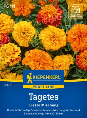 Produktbild von Kiepenkerl Profi-Line Blumensamen Tagetes Cresto Mischung für ca. 60 Pflanzen