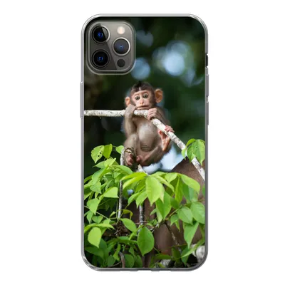 Produktbild von MuchoWow® Handyhülle Schutzhülle Hülle für iPhone 13 Pro Max Baby - Affe - Äste Silikon Softcase Handy Hülle - Mobiltelefon