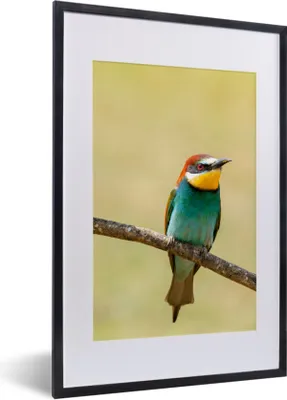 Produktbild von MuchoWow® Gerahmtes Poster Vögel - Tiere - Bienenfresser 40x60 cm - Poster mit Schwarzem Bilderrahmen Wandposter Rahmen Foto Bilder - Poster in Rahmen