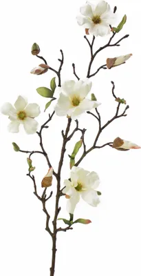 Produktbild von artplants.de Kunstblume Magnolienzweig LILO, 4 Blüten, Knospen, Creme - weiß, 75cm - Seidenblumen Magnolie - Kunstzweig