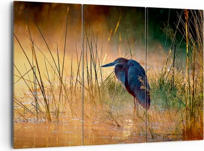 Produktbild von Bild auf Leinwand - Leinwandbild - Vogel Natur Wasser - 165x110cm - Wand Bild - Wanddeko - Leinwanddruck - Bilder - Kunstdruck - Wanddekoration - Leinwand bilder - Wandkunst - CE165x110-3708