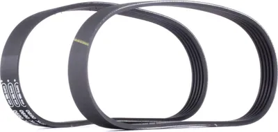Produktbild von RIDEX 542R0018 Keilrippenriemensatz für FORD Fiesta Mk6 Schrägheck (JA8, JR8)